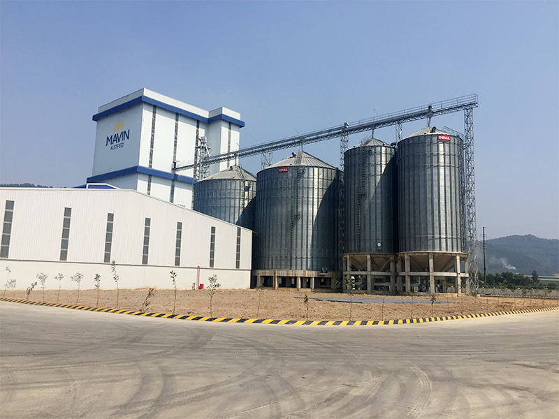 Constructing Mavin Aust feed factory system