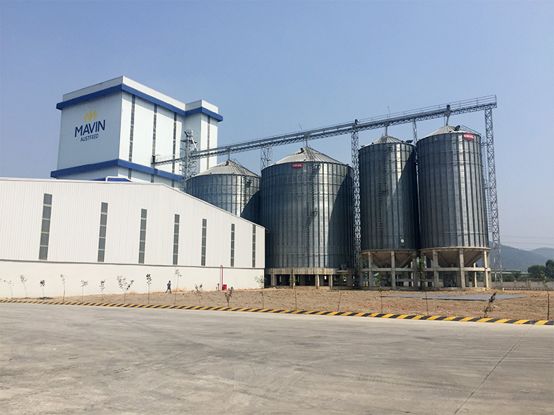 Constructing Mavin Aust feed factory system